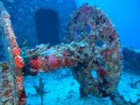 Great day of scuba diving in Key Largo with Rainbow Reef on spiegel grove tropical adventure 2014 02 27 r171 3