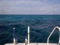 Great day of scuba diving in Key Largo with Rainbow Reef on the horseshoe tropical adventure 2014 02 26 r169 1