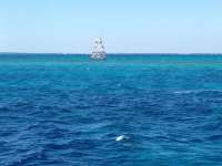 Great day of scuba diving in Key Largo with Rainbow Reef on eagle ray alley tropical adventure 2014 01 23 r126 1