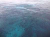 Great day of scuba diving in Key Largo with Rainbow Reef on fire coral cave tropical adventure 2014 01 06 r119 3