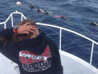 Great day of scuba diving in Key Largo with Rainbow Reef on spiegel grove tropical adventure 2014 01 18 r124 3