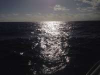 Great day of scuba diving in Key Largo with Rainbow Reef on winch hole tropical adventure 2014 01 02 r118 3