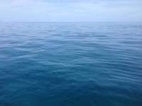 Great day of scuba diving in Key Largo with Rainbow Reef on benwood wreck tropical odyssey 2014 07 28 r562 2