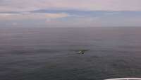 Great day of scuba diving in Key Largo with Rainbow Reef on christ statue tropical adventure 2014 07 22 r538 1