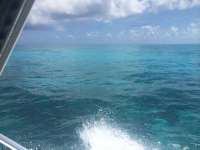 Great day of scuba diving in Key Largo with Rainbow Reef on drift molasses tropical explorer 2014 07 12 r487 1