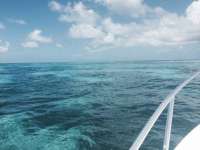 Great day of scuba diving in Key Largo with Rainbow Reef on drift molasses tropical explorer 2014 07 12 r487 2