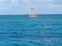Great day of scuba diving in Key Largo with Rainbow Reef on eagle ray alley tropical odyssey 2014 07 14 r497 2