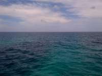 Great day of scuba diving in Key Largo with Rainbow Reef on elbow reef tropical odyssey 2014 07 08 r470 1