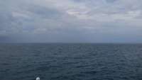 Great day of scuba diving in Key Largo with Rainbow Reef on french reef tropical adventure 2014 07 22 r535 1