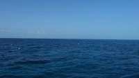 Great day of scuba diving in Key Largo with Rainbow Reef on french reef tropical adventure 2014 07 26 r553 1