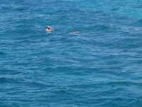 Great day of scuba diving in Key Largo with Rainbow Reef on french reef tropical odyssey 2014 07 12 r485 1