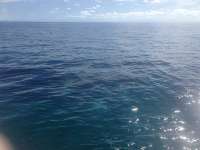 Great day of scuba diving in Key Largo with Rainbow Reef on french reef tropical odyssey 2014 07 15 r501 3