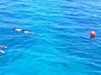 Great day of scuba diving in Key Largo with Rainbow Reef on french reef tropical voyager 2014 07 19 r524 1