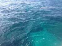Great day of scuba diving in Key Largo with Rainbow Reef on hole in the wall tropical odyssey 2014 07 03 r444 2