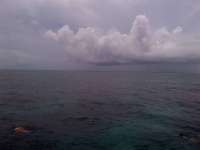 Great day of scuba diving in Key Largo with Rainbow Reef on minnow cave tropical adventure 2014 07 05 r454 1