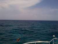 Great day of scuba diving in Key Largo with Rainbow Reef on molasses reef tropical odyssey 2014 07 09 r474 1