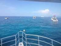 Great day of scuba diving in Key Largo with Rainbow Reef on molasses reef tropical odyssey 2014 07 19 r521 1