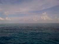 Great day of scuba diving in Key Largo with Rainbow Reef on north star tropical odyssey 2014 07 09 r472 1