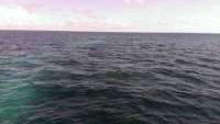 Great day of scuba diving in Key Largo with Rainbow Reef on sand island tropical voyager 2014 07 16 r507 1