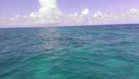 Great day of scuba diving in Key Largo with Rainbow Reef on sand island tropical voyager 2014 07 23 r544 1