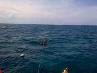 Great day of scuba diving in Key Largo with Rainbow Reef on snapper ledge tropical odyssey 2014 07 02 r442 1