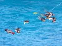 Great day of scuba diving in Key Largo with Rainbow Reef on snapper ledge tropical odyssey 2014 07 13 r494 1
