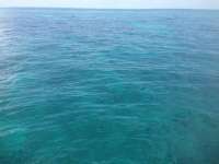 Great day of scuba diving in Key Largo with Rainbow Reef on snapper ledge tropical odyssey 2014 07 18 r519 2