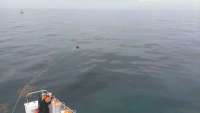 Great day of scuba diving in Key Largo with Rainbow Reef on snapper ledge tropical voyager 2014 07 22 r539 1