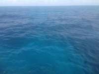 Great day of scuba diving in Key Largo with Rainbow Reef on benwood wreck tropical odyssey 2014 06 15 r378 2
