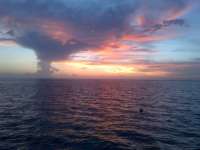 Great day of scuba diving in Key Largo with Rainbow Reef on benwood wreck tropical odyssey 2014 06 21 r399 1