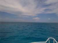 Great day of scuba diving in Key Largo with Rainbow Reef on christ statue tropical adventure 2014 06 30 r435 1