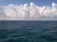 Great day of scuba diving in Key Largo with Rainbow Reef on eagle ray alley tropical odyssey 2014 06 17 r385 1