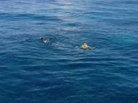 Great day of scuba diving in Key Largo with Rainbow Reef on fire coral cave tropical odyssey 2014 06 27 r415 1
