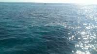 Great day of scuba diving in Key Largo with Rainbow Reef on french reef tropical odyssey 2014 06 24 r405 1