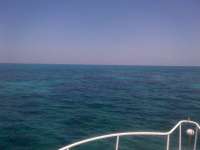 Great day of scuba diving in Key Largo with Rainbow Reef on minnow cave tropical adventure 2014 06 07 r348 1