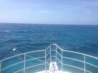 Great day of scuba diving in Key Largo with Rainbow Reef on molasses deep tropical odyssey 2014 06 14 r373 1