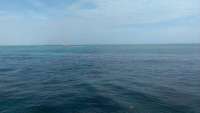 Great day of scuba diving in Key Largo with Rainbow Reef on north star tropical adventure 2014 06 19 r390 1