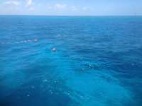 Great day of scuba diving in Key Largo with Rainbow Reef on permit ledges tropical odyssey 2014 06 05 r343 1