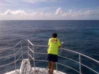 Great day of scuba diving in Key Largo with Rainbow Reef on snapper ledge tropical odyssey 2014 06 18 r387 1