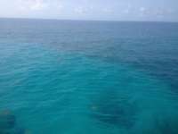 Great day of scuba diving in Key Largo with Rainbow Reef on snapper ledge tropical odyssey 2014 06 20 r393 1