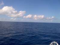 Great day of scuba diving in Key Largo with Rainbow Reef on spiegel grove tropical adventure 2014 06 29 r423 1