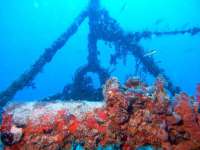 Great day of scuba diving in Key Largo with Rainbow Reef on spiegel grove tropical odyssey 2014 06 12 r367 2
