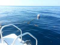 Great day of scuba diving in Key Largo with Rainbow Reef on spiegel grove tropical voyager 2014 06 07 r347 1