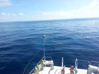 Great day of scuba diving in Key Largo with Rainbow Reef on spiegel grove tropical voyager 2014 06 28 r420 1