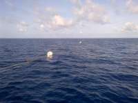 Great day of scuba diving in Key Largo with Rainbow Reef on uscgc duane tropical adventure 2014 06 20 r392 1