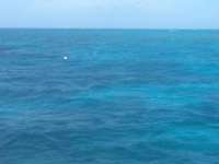Great day of scuba diving in Key Largo with Rainbow Reef on winch hole tropical odyssey 2014 06 05 r342 2