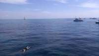 Great day of scuba diving in Key Largo with Rainbow Reef on winch hole tropical voyager 2014 06 30 r431 1