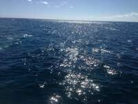 Great day of scuba diving in Key Largo with Rainbow Reef on benwood wreck tropical adventure 2014 03 03 r178 1