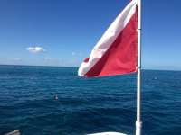 Great day of scuba diving in Key Largo with Rainbow Reef on benwood wreck tropical adventure 2014 03 03 r178 2