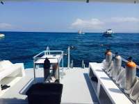 Great day of scuba diving in Key Largo with Rainbow Reef on eagle ray alley tropical odyssey 2014 03 20 r209 1